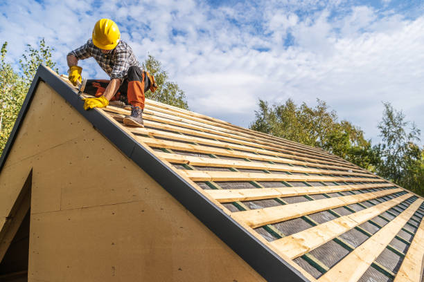 Gutter Installation and Roofing in Dayton, NV